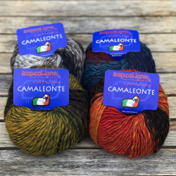 Camaleonte (4  colors)